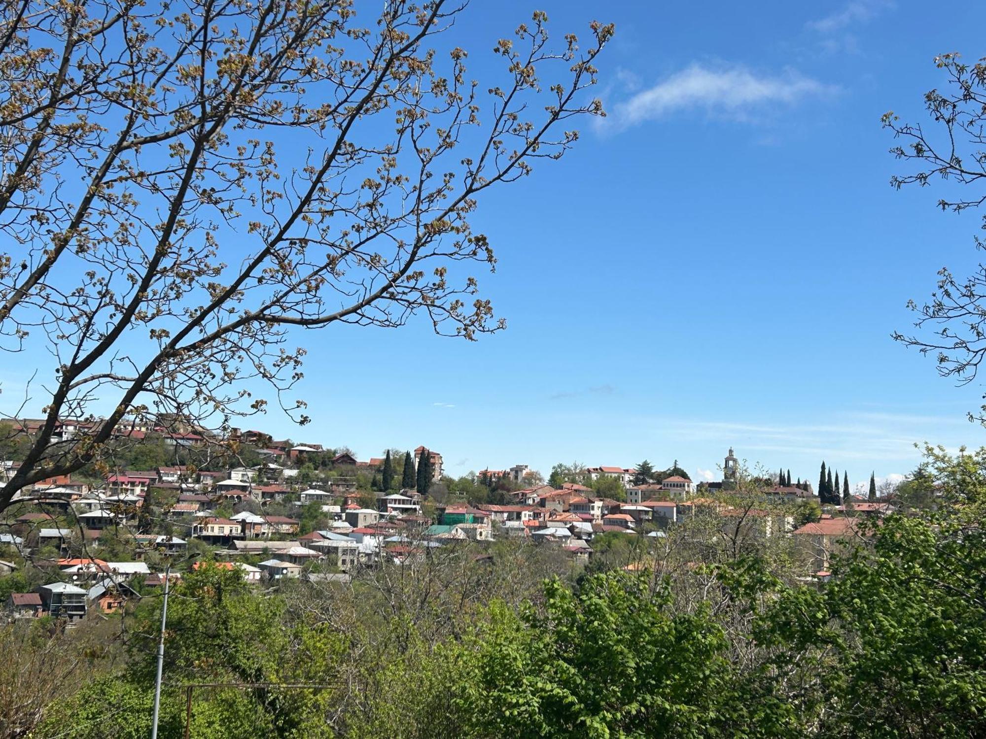 Guest House Maradona Sighnaghi Exterior foto